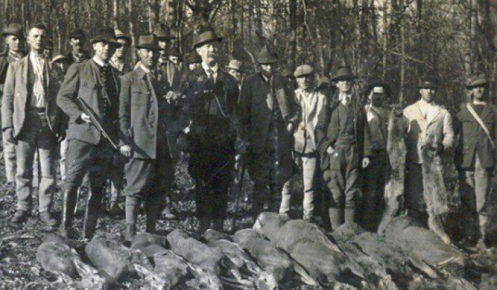 3. fotografia fotogalérie História