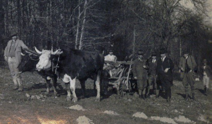 4. fotografia fotogalérie História