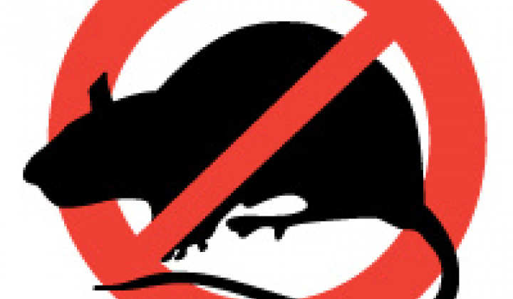 Fotka - Výzva na výkon celoplošnej deratizácie