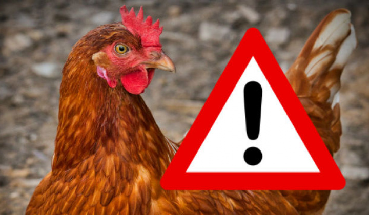 Fotka - Opatrenia na zvýšenie biologickej ochrany v chovoch hydiny