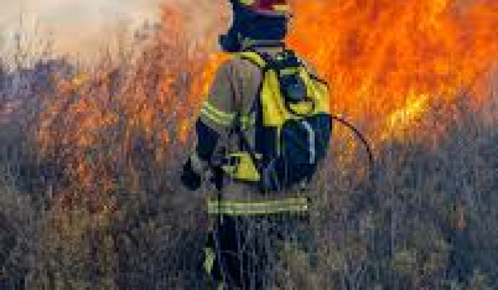 Fotka - Chráňme prírodu pred požiarmi