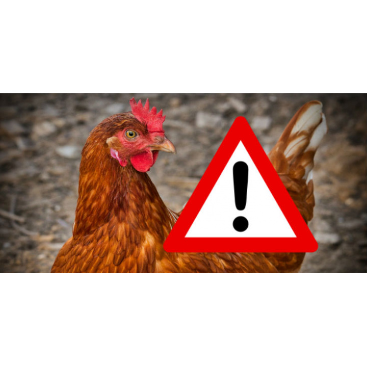 Opatrenia na zvýšenie biologickej ochrany v chovoch hydiny